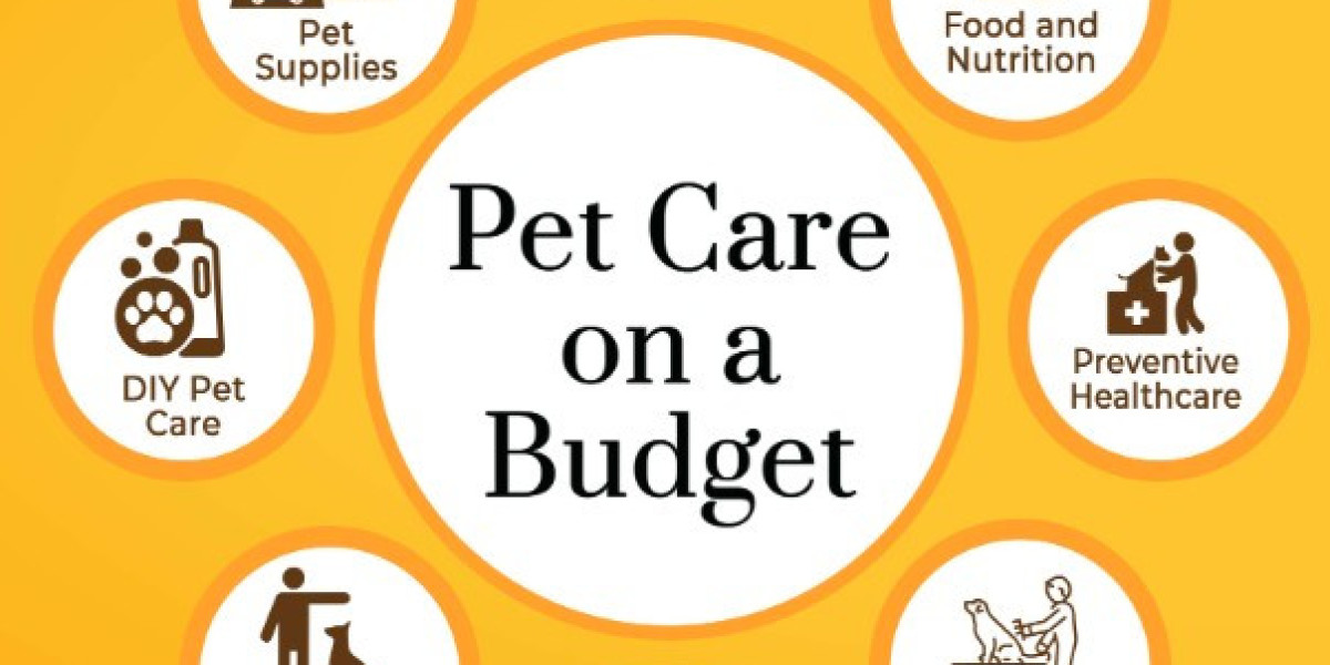 Comprehensive Pet Care at Alpenlofts Veterinary Clinic: Your Trusted Animal Hospital in Squamish