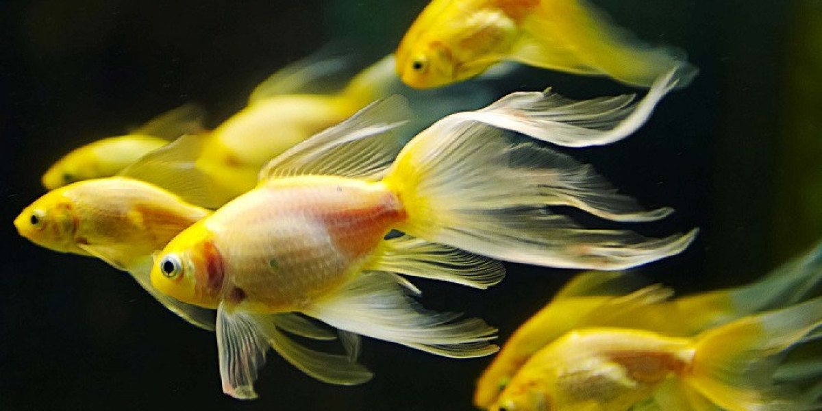 Fish Symbolism in Art, Faith, and Storytelling