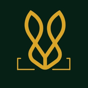 boldbunny shoe Profile Picture