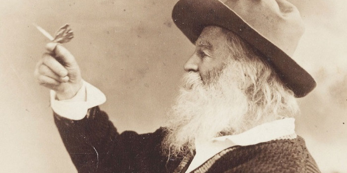 Is Walt Whitman a Democratic Voice in Poetry?