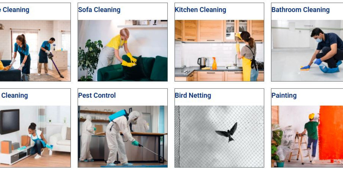 Get the Safaiwale Experience: Expert Cleaning Guaranteed