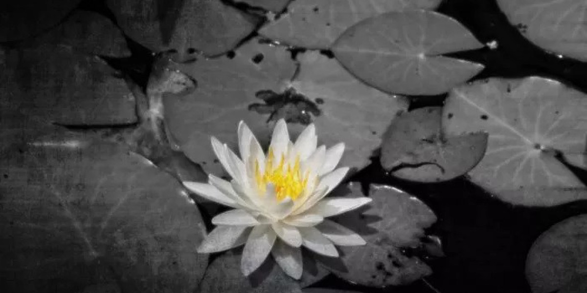 Spiny Lotus Symbolism and Meaning in Love, Death & Bible