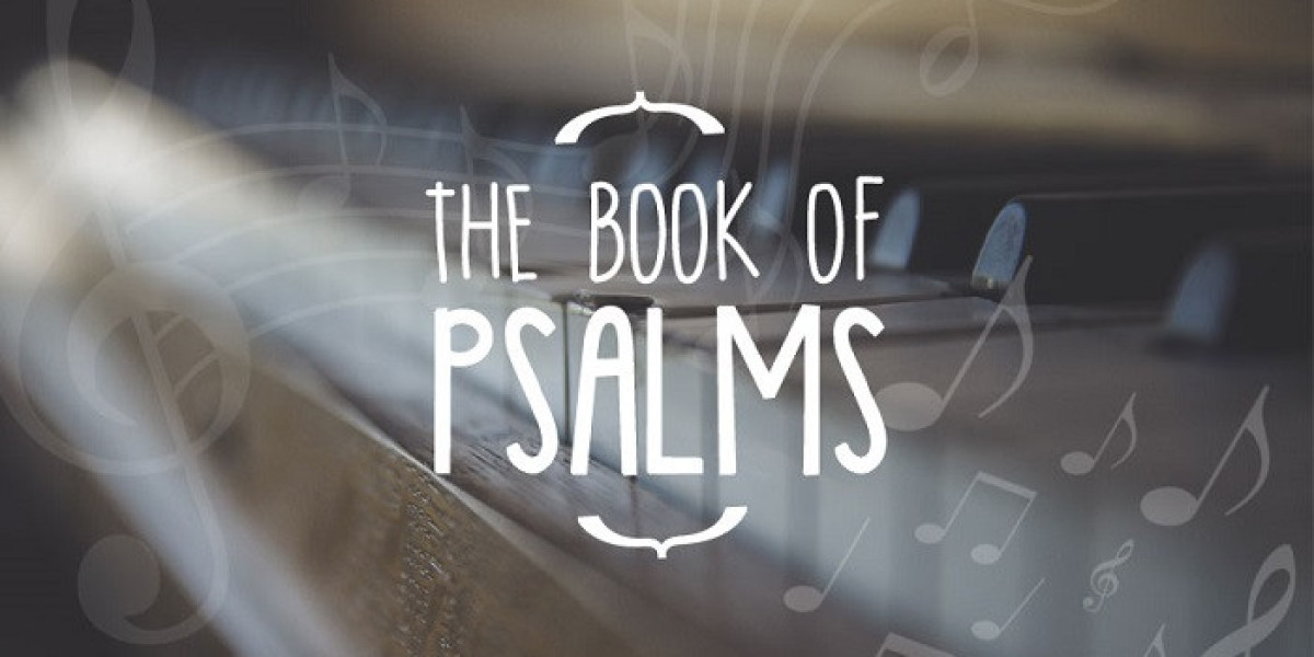 How does the Book of Psalms depict human suffering?