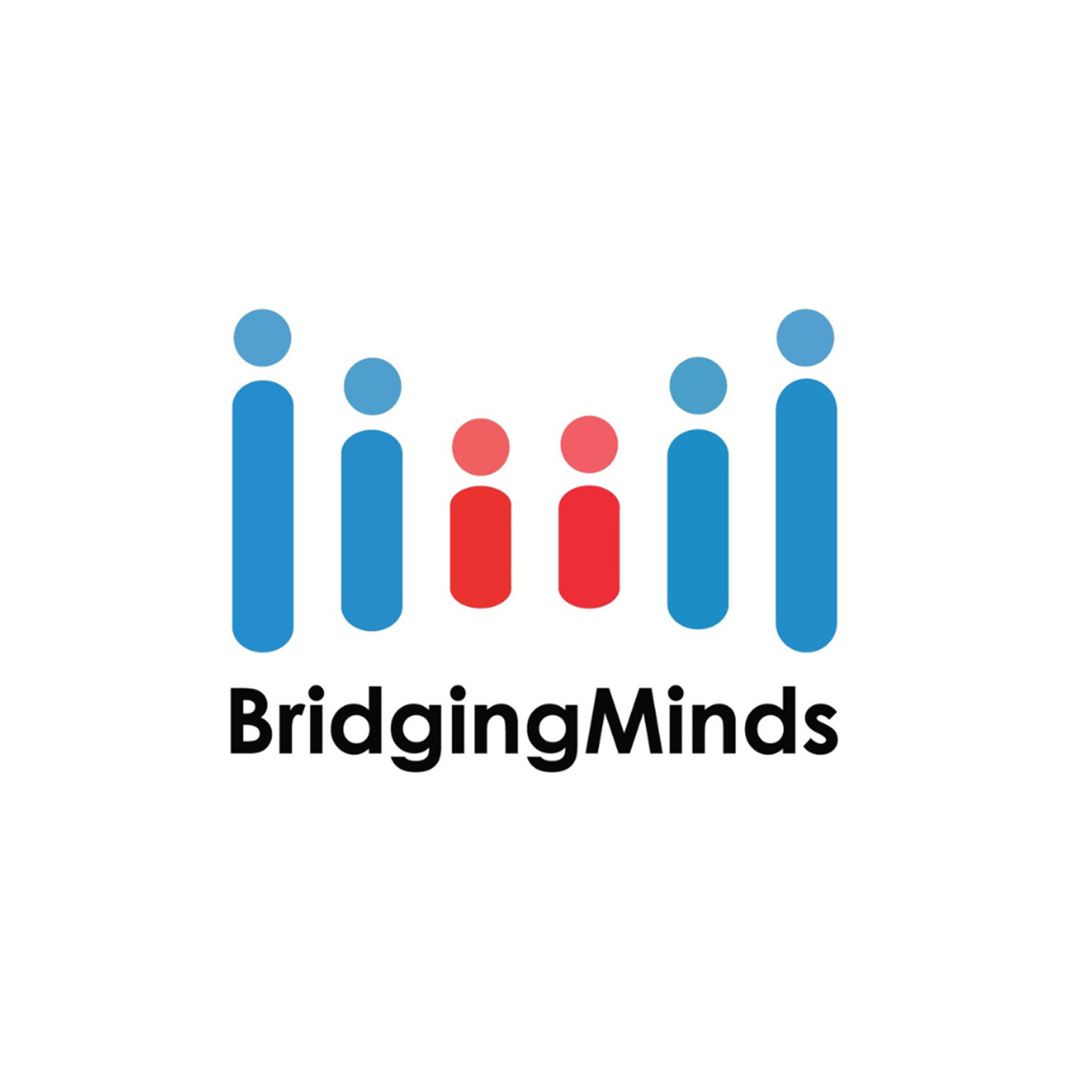 BridgingMinds Network Profile Picture