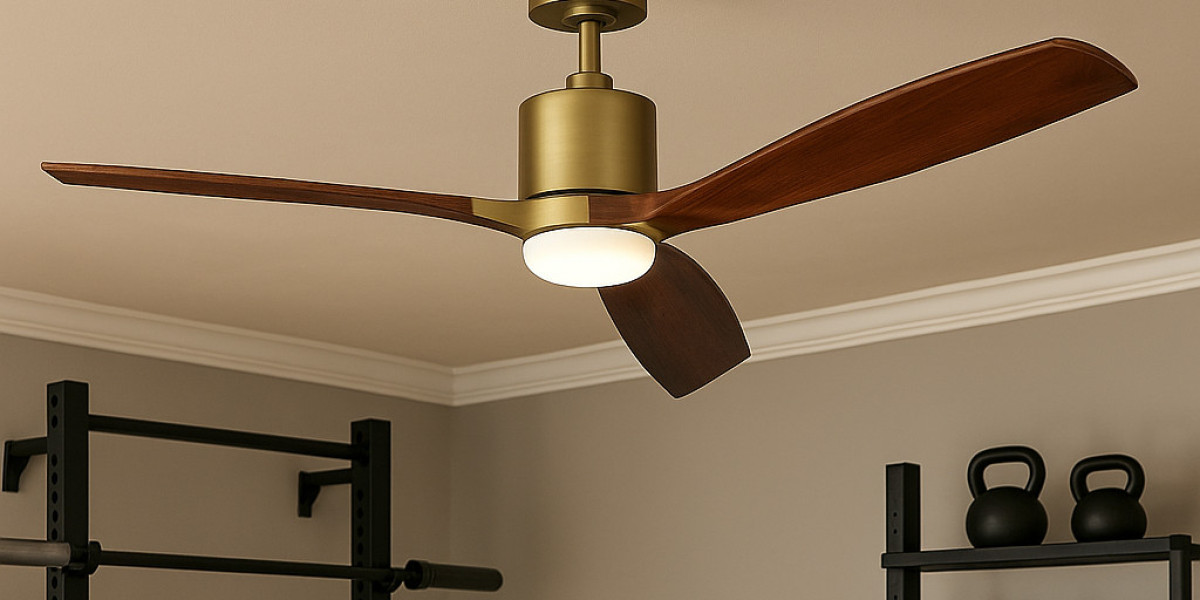 Why Every Home Gym Needs a Powerful Ceiling Fan with Light