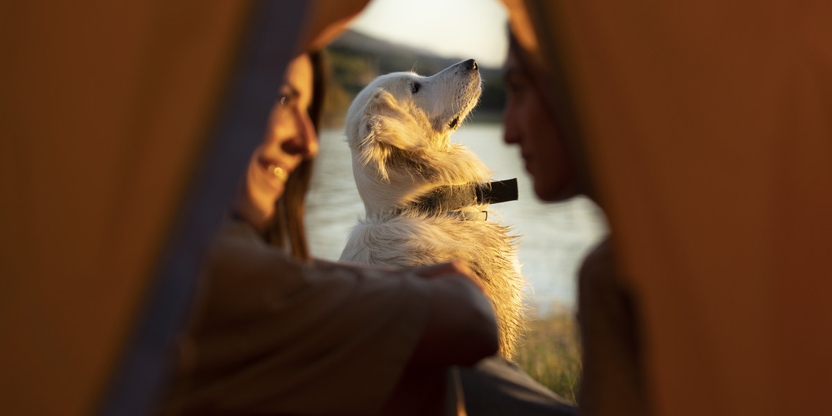 Pet-Friendly Glamping – An Unforgettable Escape for You and Your Furry Friend