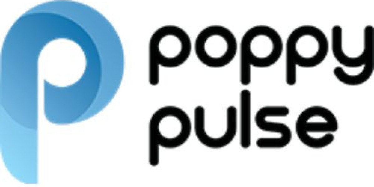 Poppy Pulse: Your Go-To Performance Marketing Agency in Delhi for Measurable Success