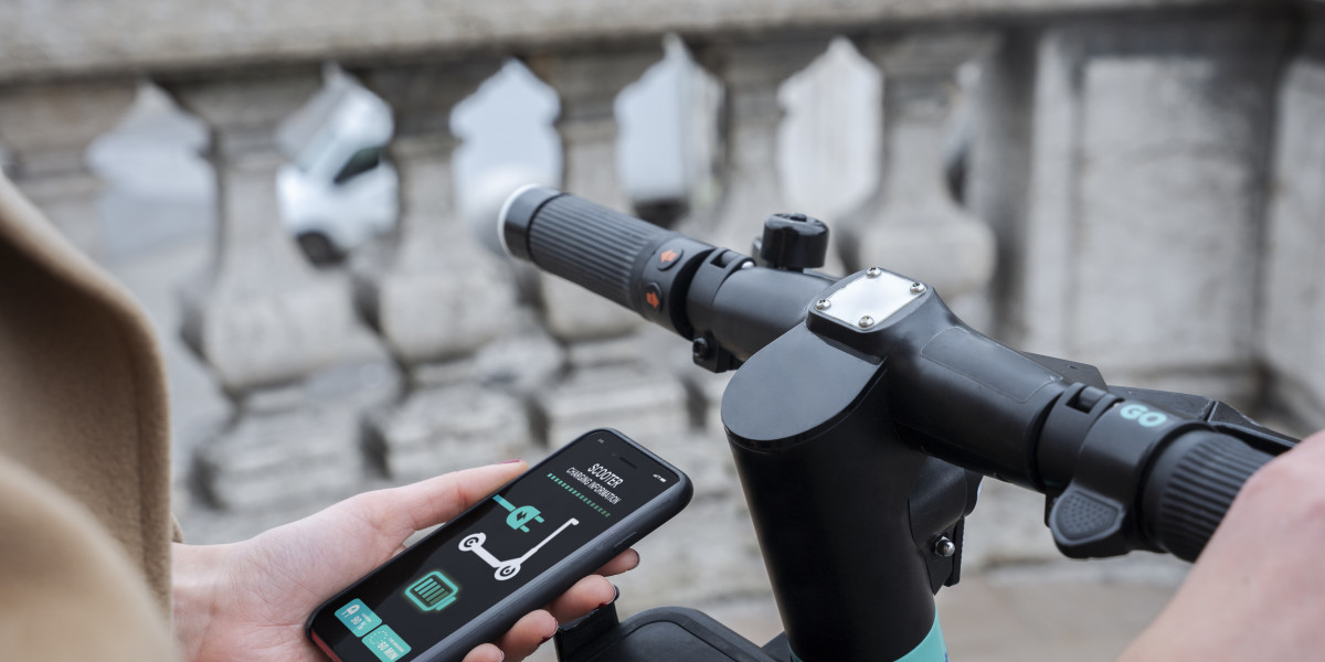 The Path to Erfolg: Building Your E-Scooter business with a custom Application