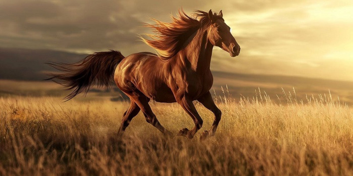 Horse Symbolism: Guidance, Growth, and Transformation