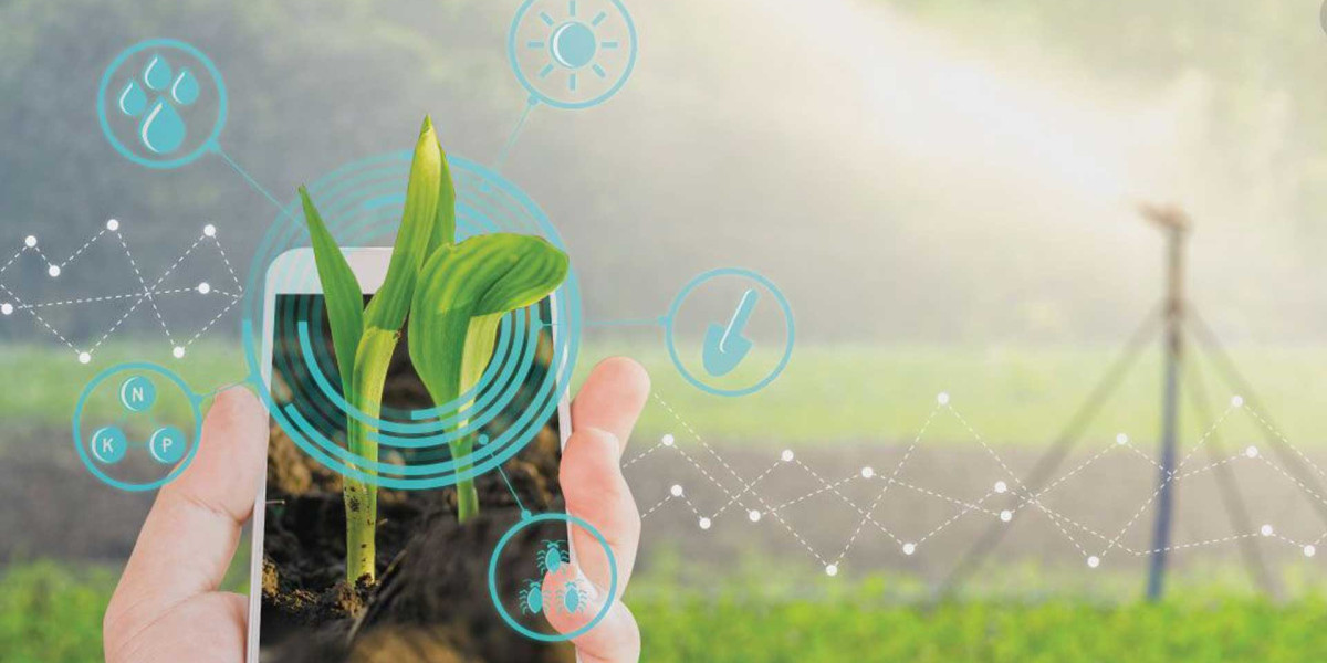 The Digital Harvest: Transforming Farming with US IoT Agriculture