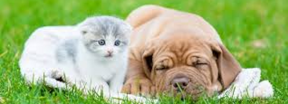 Chatswood Veterinary Clinic Cover Image