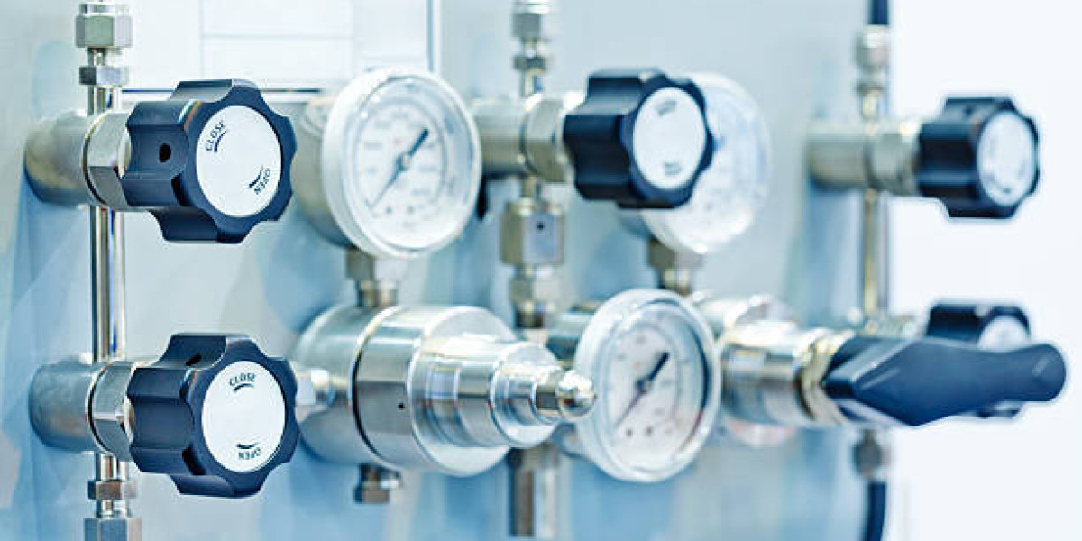 What Are the Advantages of Diaphragm Pressure Gauges in the Food Industry?