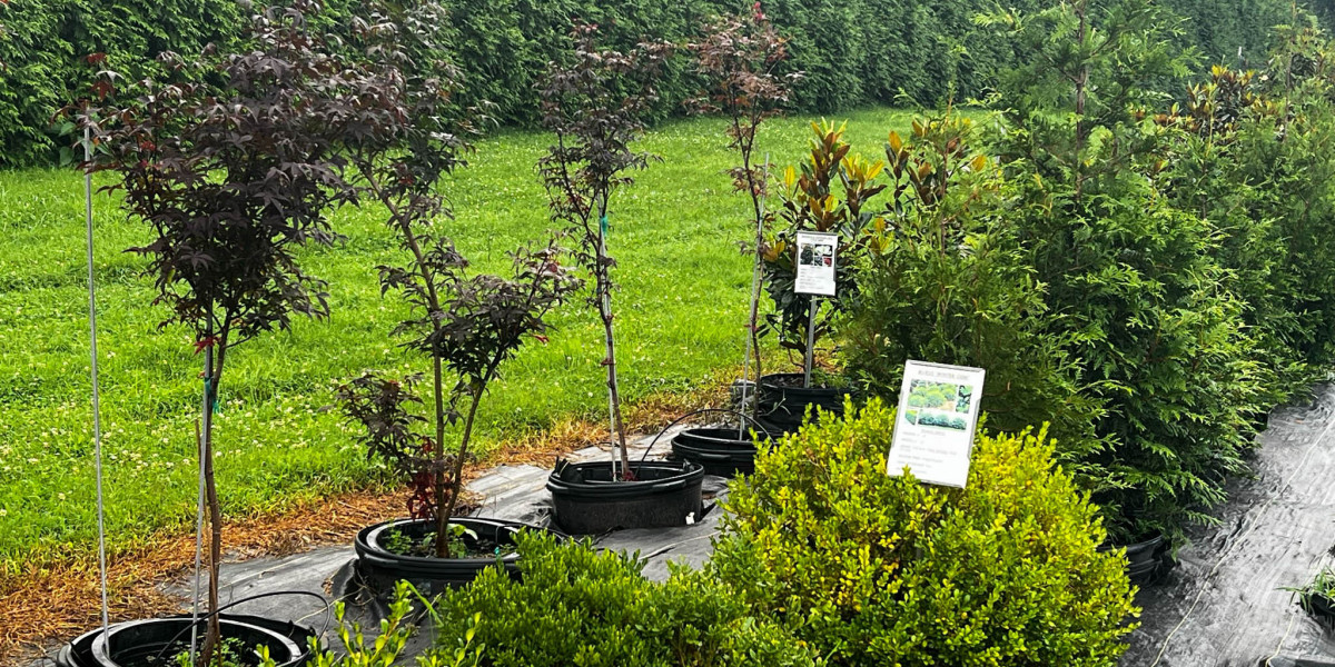 Your Local Destination for Lush Gardens – Caney Creek Nursery