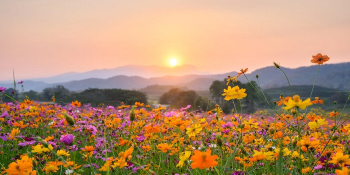 80 Spring Jokes to Experience the Resurgence of All Things