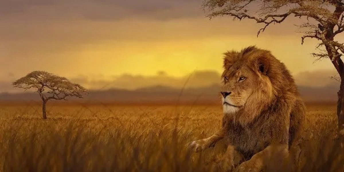 Why Is Lion Symbolism a Sign of Pride and Authority?