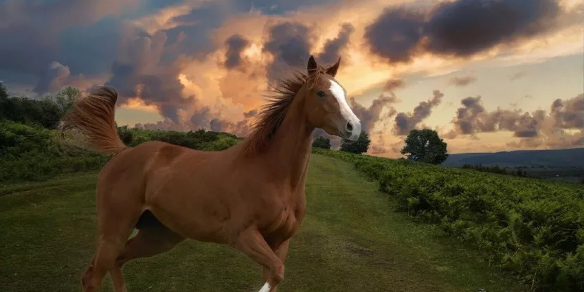 Horse Symbolism in Dreams, Myths, and Daily Life