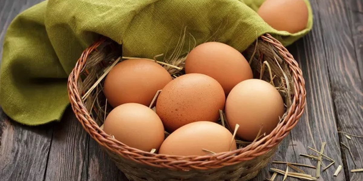 133+ Cringy Egg Jokes That’ll Crack You Up Instantly
