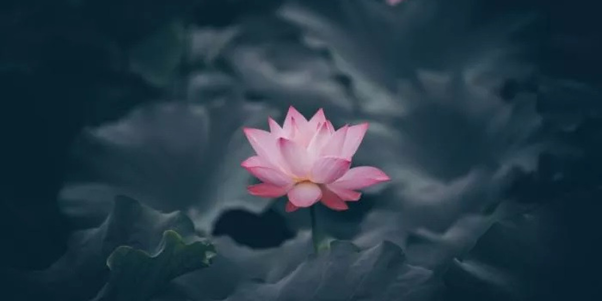How Does Lotus Symbolism Reveal Secrets of the Soul?