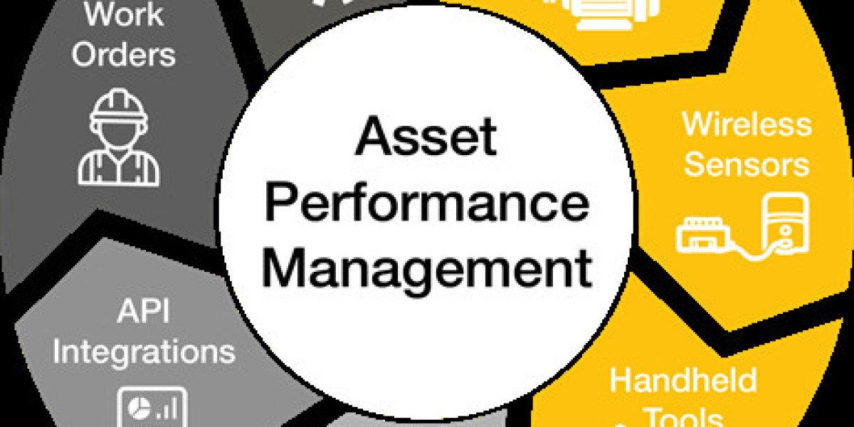 Understanding the US Asset Performance Management Market Share Dynamics