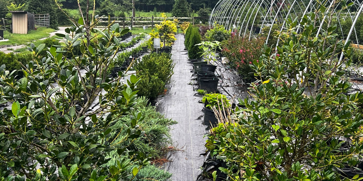 Caney Creek Nursery – Your Trusted Harriman TN Garden Center