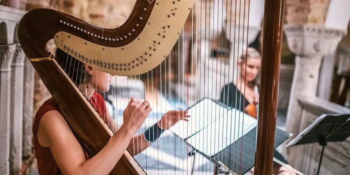 6 Classical Music Pieces Inspired by Swans: All You Want to Know