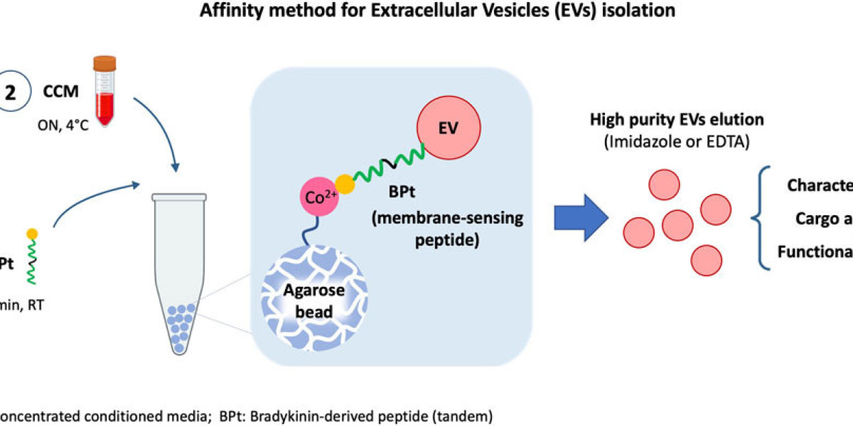 Custom Agarose Particle Services to Empower Biomolecule Purification and Separation