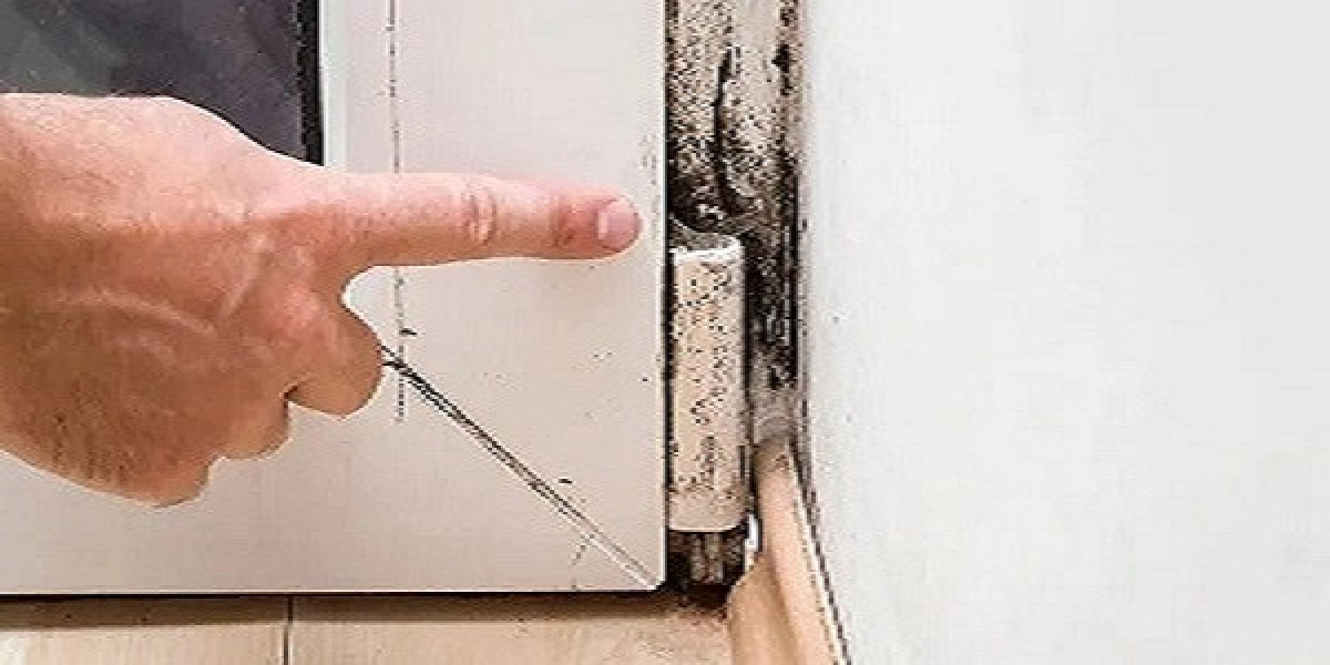 Reliable Mould Solutions and Remediation for Safer Indoor Environments
