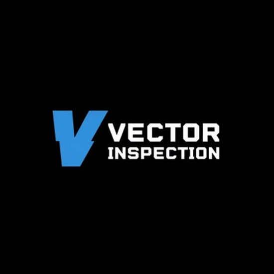 vectorinspection Profile Picture