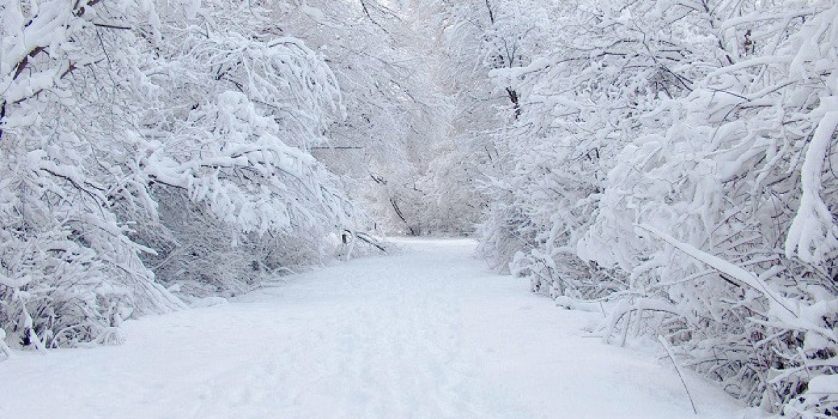100 Snow Jokes to Keep You Happy Through Winter