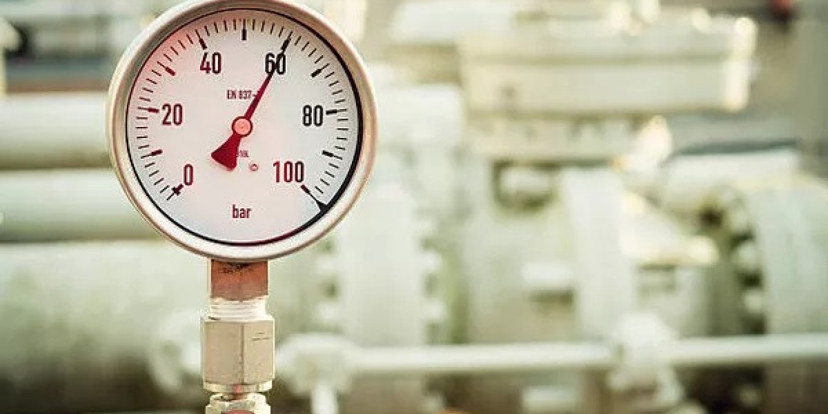 Which Mineral May Be Used in Pressure Gauges: A Complete Guide