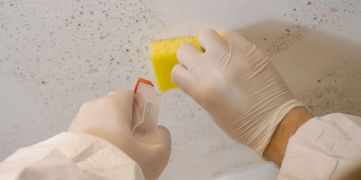 Expert Boat Mould Removal Services Sunshine Coast Homes