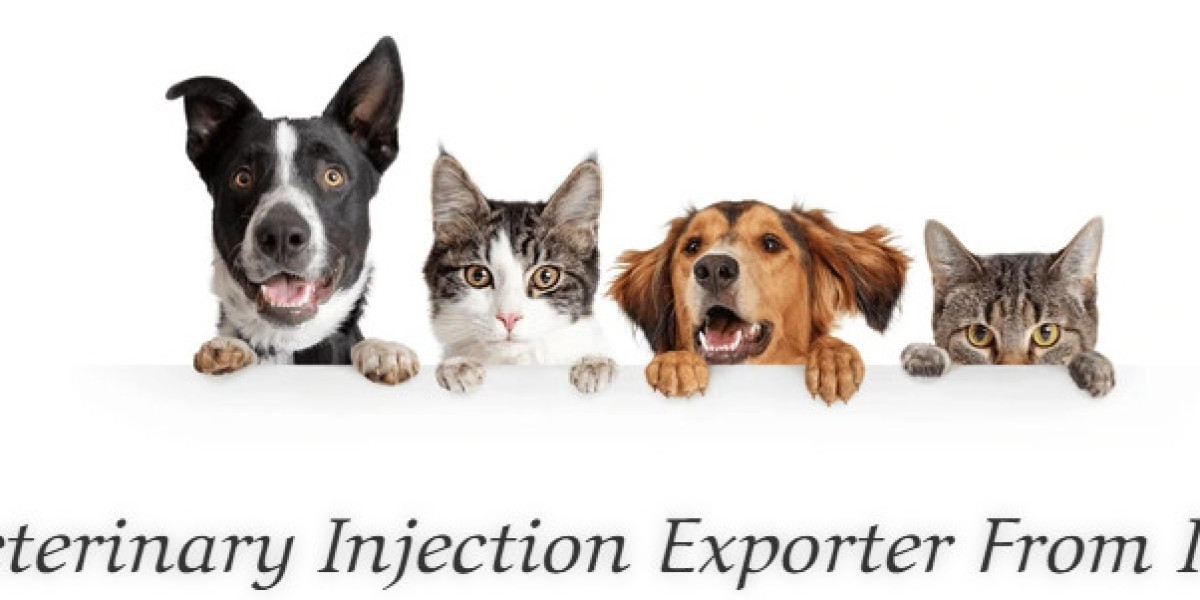 Veterinary Injection Exporter in India