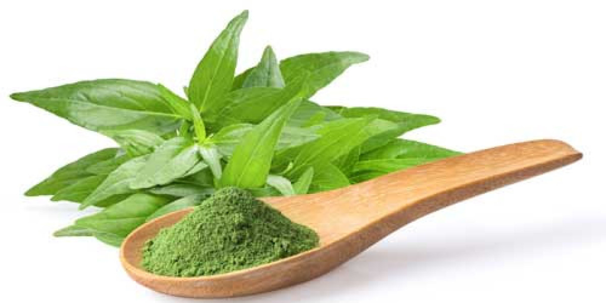 Andrographis Paniculata Powder And Extract: Benefits, Uses, and Tips