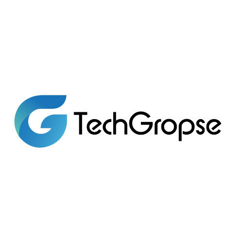 TechGropse Enterprise Software Development Company Profile Picture