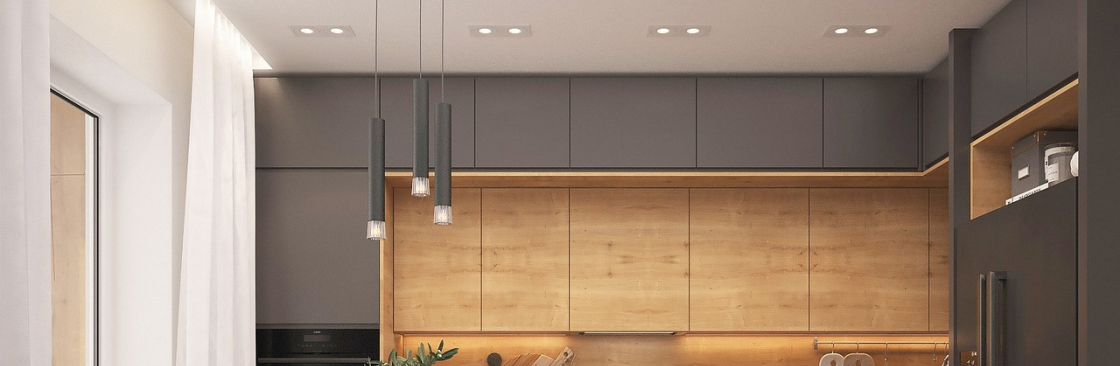 Edison Light Cover Image