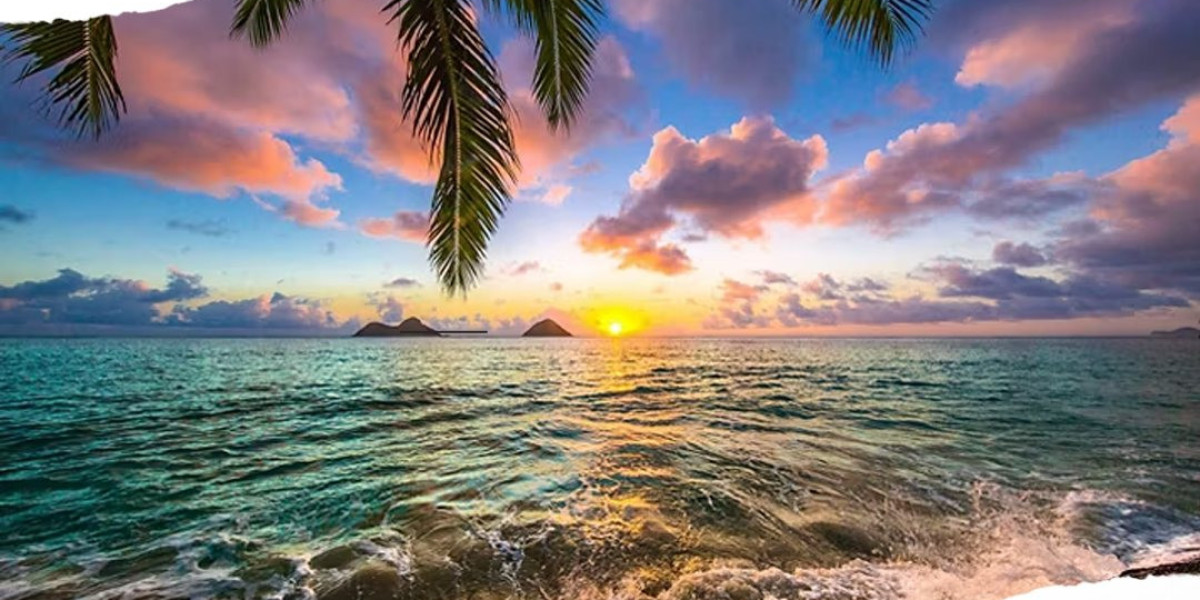 Smooth and Reliable Shipping from Hawaii to Mainland with JNR Global Logistics