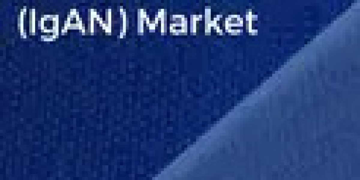Understanding the Future of the IgA Nephropathy Market Landscape