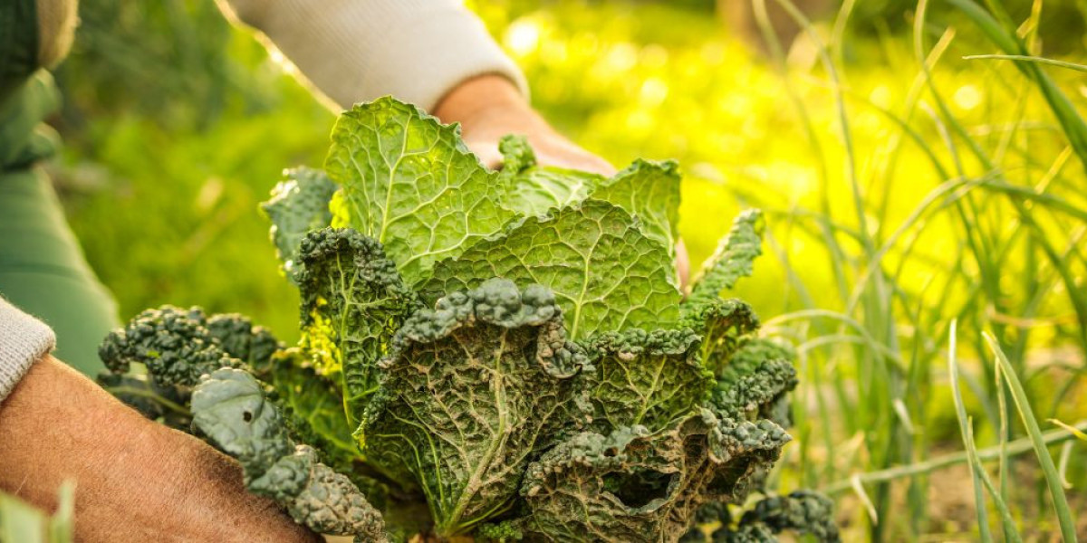 Permaculture Design Certificate Online: Learn Sustainable Living from Home
