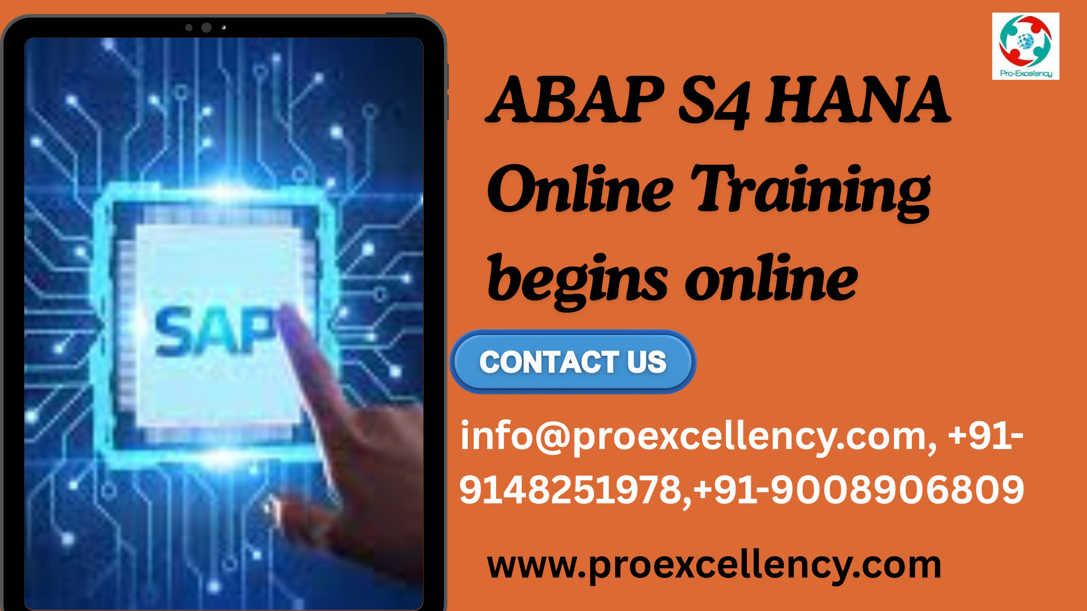 proexcellency Solutions Profile Picture
