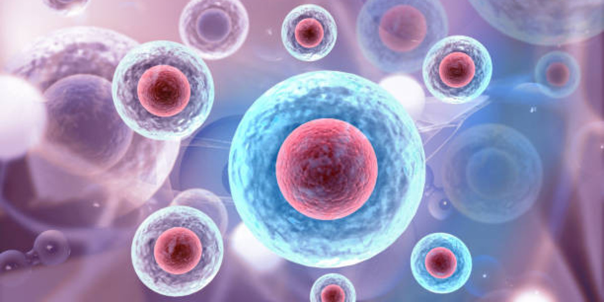How Can Stem Cells Repair a Damaged Heart? The Science Explained