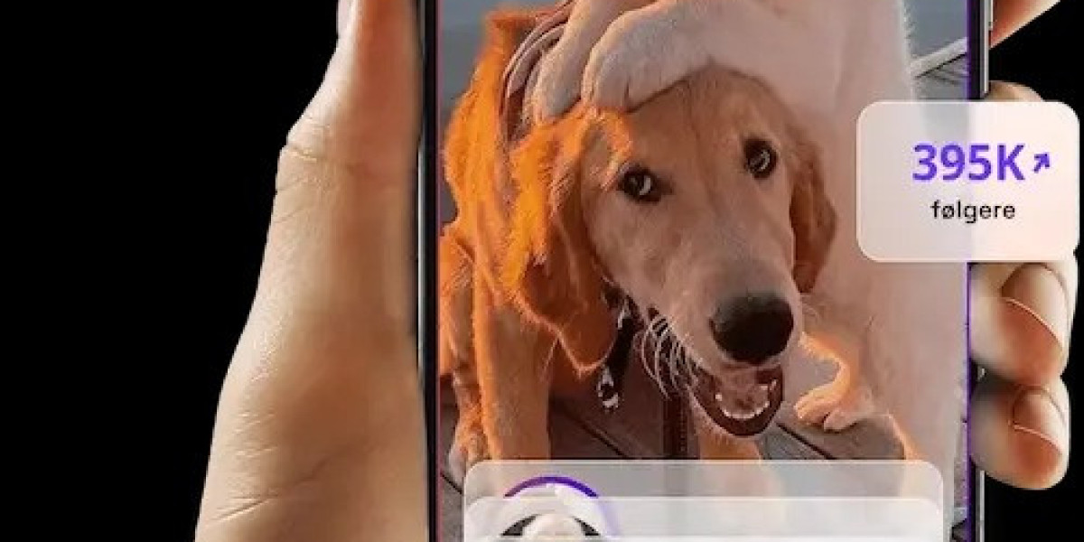 How Buying Followers on TikTok Boosts Your Growth