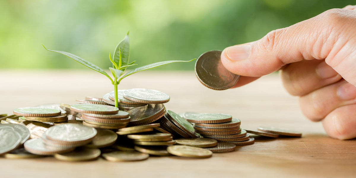 How To Make The Most of the Best Mutual Fund Software?