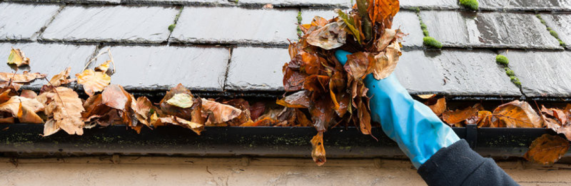 Regal Gutter Cleaning Geelong Cover Image