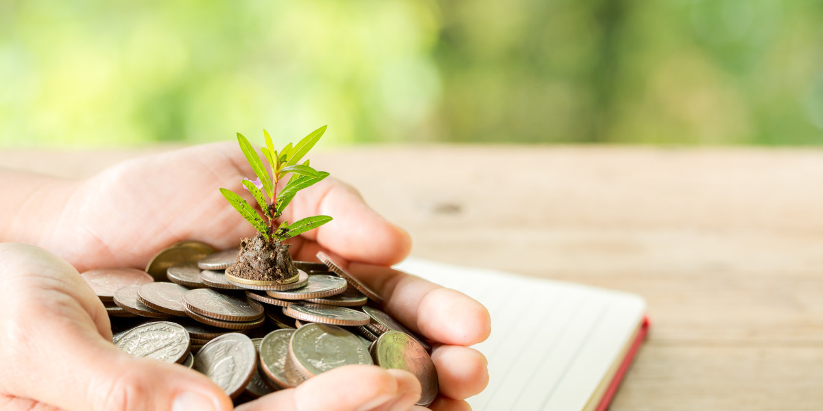 How Mutual Fund Software Enhances Fund Comparison With Comparison Tools?