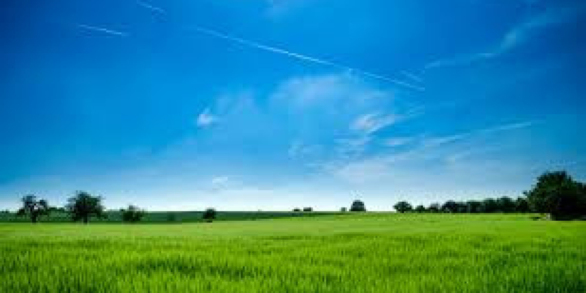 Prime Showroom for Sale in Uttarakhand: A Perfect Investment Opportunity