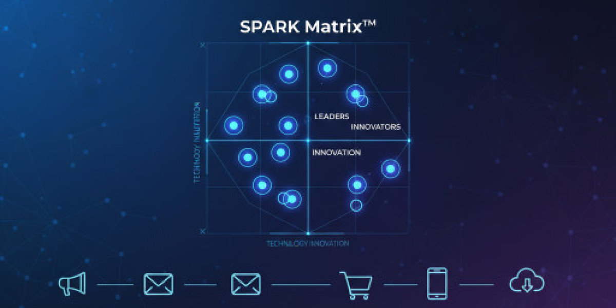 Multichannel Marketing Hubs Market Evolution: Cloud, CDP Integration & Real-Time Personalization