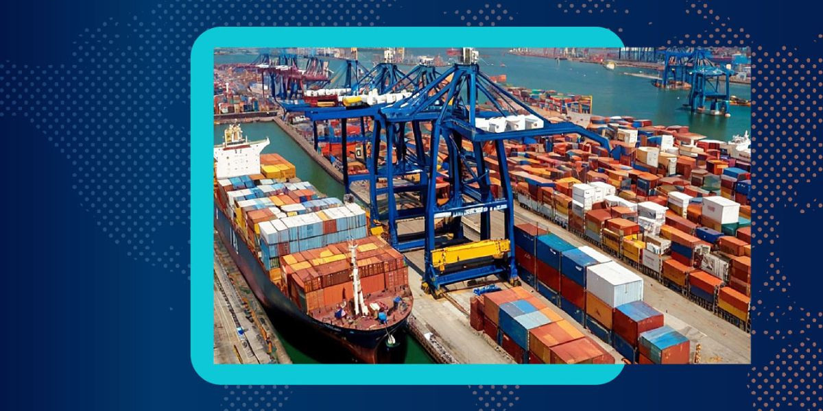 Warehousing Services in the Netherlands: A Complete Guide for Global Businesses