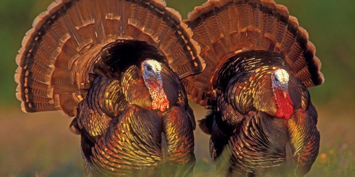 100 Turkey Jokes Perfect for Classrooms, Parties, and Thanksgiving Events