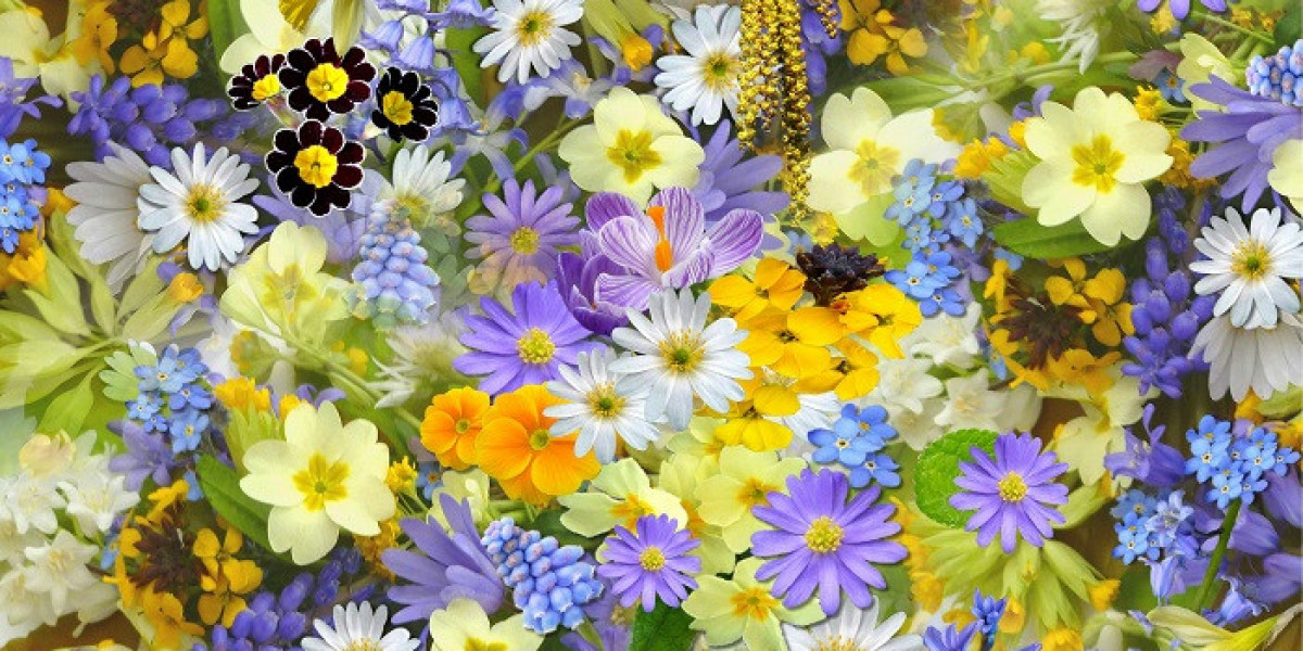 What Does Flower Symbolism Reveal About the Cycle of Life?