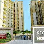 Apartment On Rent Profile Picture